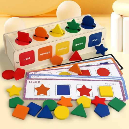 Montessori 2-in-1 Sorting Box