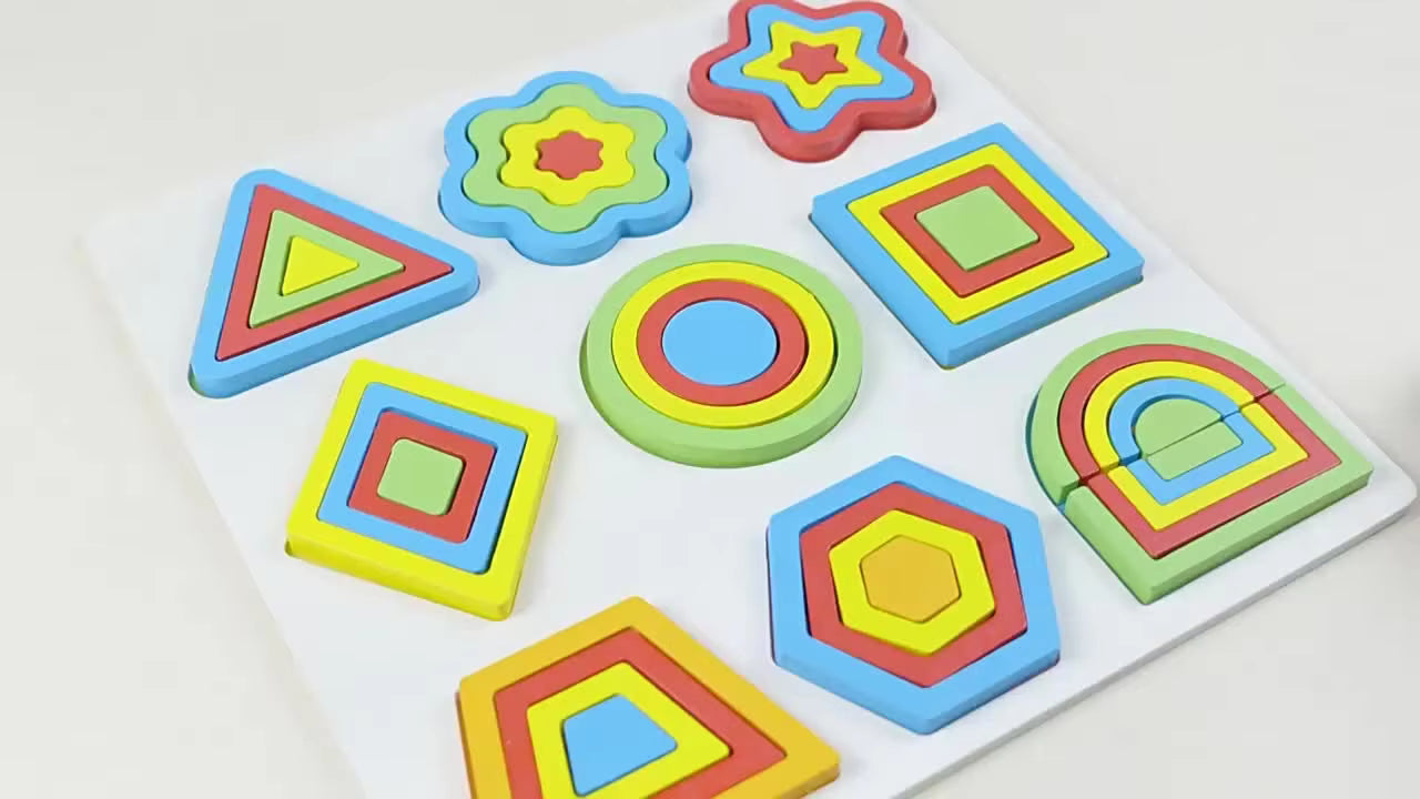 Montessori Color & Shape Matching Blocks