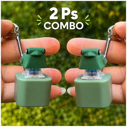 2 Pcs Frog Fidget Keychain – Lights & Sound